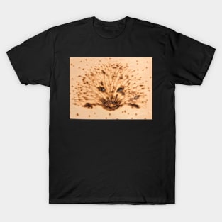 Hidden Hedgehog T-Shirt